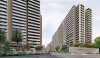 Prestige Evergreen